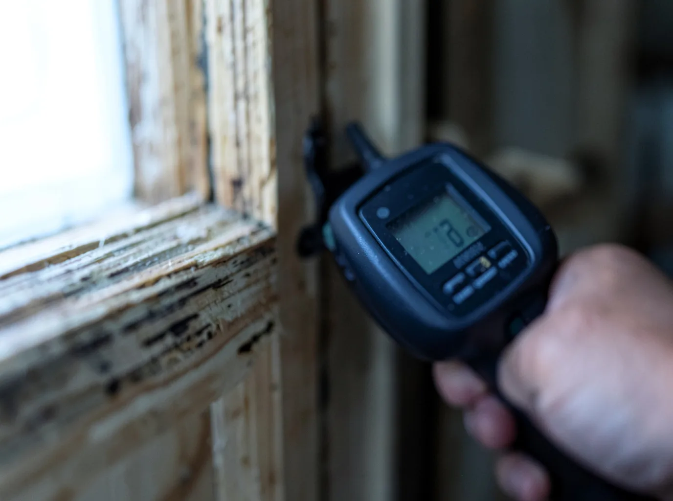 Moisture Inspection And Documentation in Homestead, IA